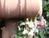 EngineIvyb.jpg